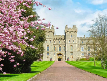 Walk Where Kings Tread: Why Windsor Castle Tours Are a Must in 2026