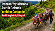 Trabzon Yaylalarında Asırlık Gelenek Yeniden Canlandı: Renkli Yayla Göçü Başladı.