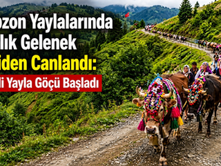 Trabzon Yaylalarında Asırlık Gelenek Yeniden Canlandı: Renkli Yayla Göçü Başladı.