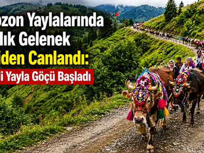 Trabzon Yaylalarında Asırlık Gelenek Yeniden Canlandı: Renkli Yayla Göçü Başladı.
