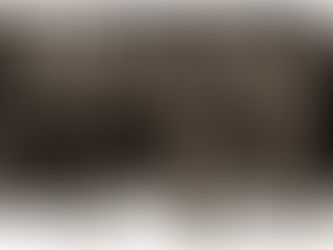 Enver Paşa: Bir Osmanlı Paşasının Dramı