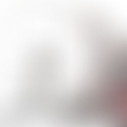 Türkiye’de Okullarda Artan Şiddet ve “Terör” Benzeri Olaylar: Psikolojik ve Toplumsal Altyapı.