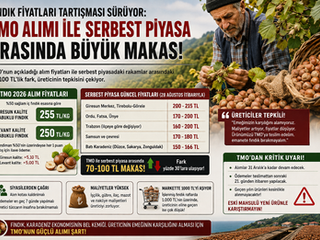 Fındık Fiyatları Tartışması Sürüyor: TMO Alımları ile Serbest Piyasa Arasında Büyük Makas