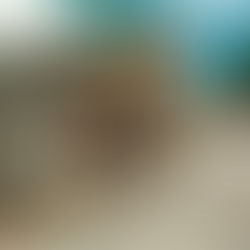 Datça Gezi Rehberi: Eski Datça Mahallesi "Taş Evlerin, Begonvillerin ve Şiirin Evi"