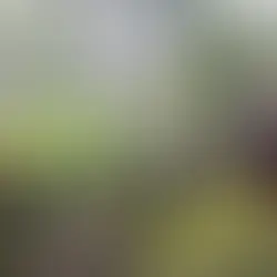 Datça'da Spor Aktiviteleri