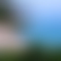 Datça'da Nisan Ayında Ne Yapabilirsiniz? 