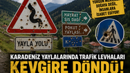 Karadeniz yaylalarında trafik levhaları kevgire döndü: Bencillik, vurdumduymazlık ve empati yoksunluğunun acı tablosu