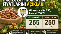 TMO 2026 Fındık Alım Fiyatlarını Açıkladı: Giresun Kalite 255, Levant 250 TL