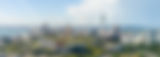 UoA - Seek profile banner 1400x500[33].jpg