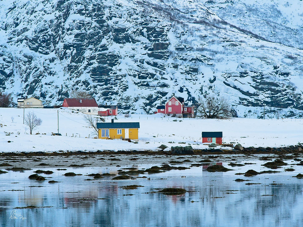 Coloured Houses