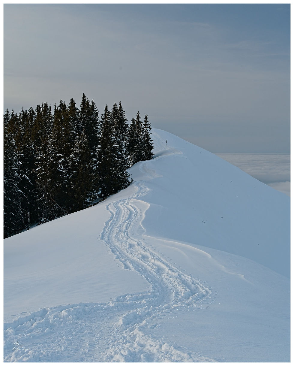 Wertacher Hörnle Summit || Nikon Z7II ISO 64, f/11, 1/3 s