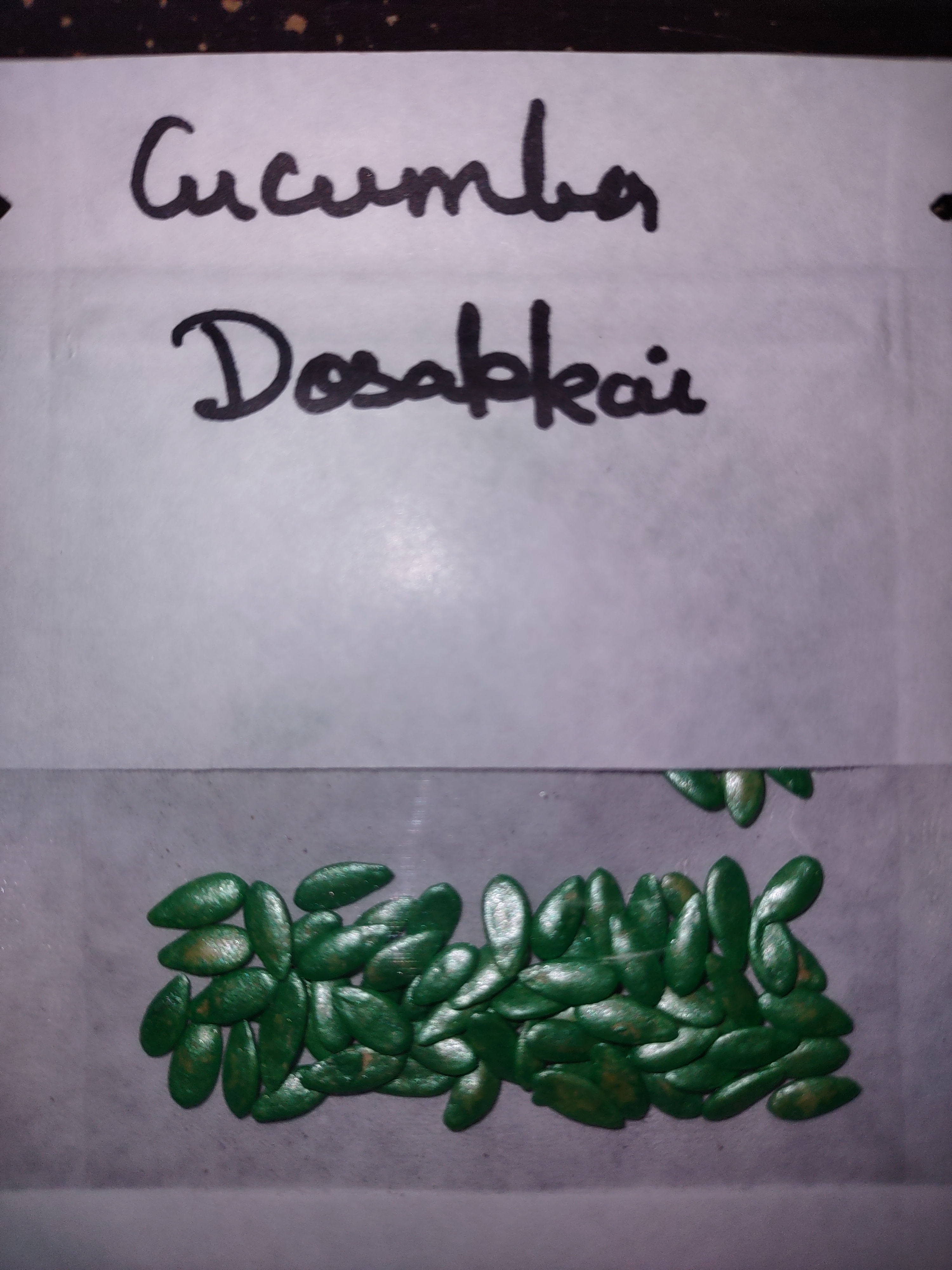 Seeds: Dosakai/Indian cucumber/vellari