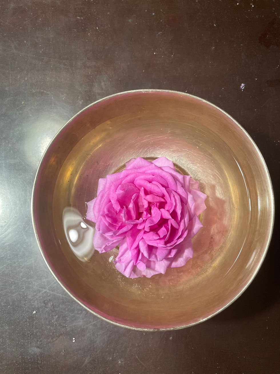 Thumbnail: Medium Authentic Indian Paneer rose /Gulab rose / Gulkand Rose/Damascus rose - M