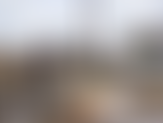 Thousands of people are expected to move into other states after Hurricane's destroy their citie