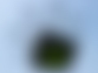 Couple in California are caught using drones to deliver drugs.