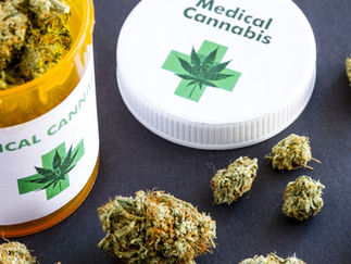 12 Year old girl with Epilepsy is suing the U.S. Attorney to Legalize Marijuana.