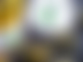 12 Year old girl with Epilepsy is suing the U.S. Attorney to Legalize Marijuana.