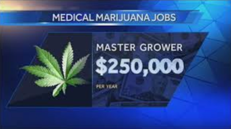 Here are the top 5 Medical Marijuana jobs that pay over a $100,000 a