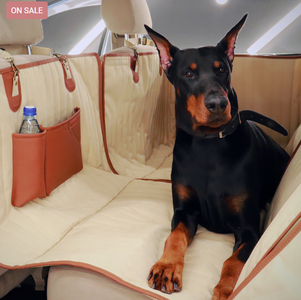 Fast 4-Day Shipping, High-Quality Pet Products at Affordable Prices