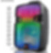 Bluetooth 12" Speaker