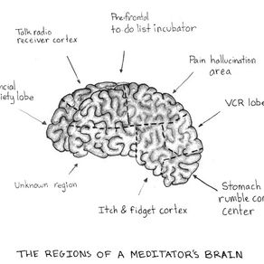 Welcome to the Yogi Minds blog!