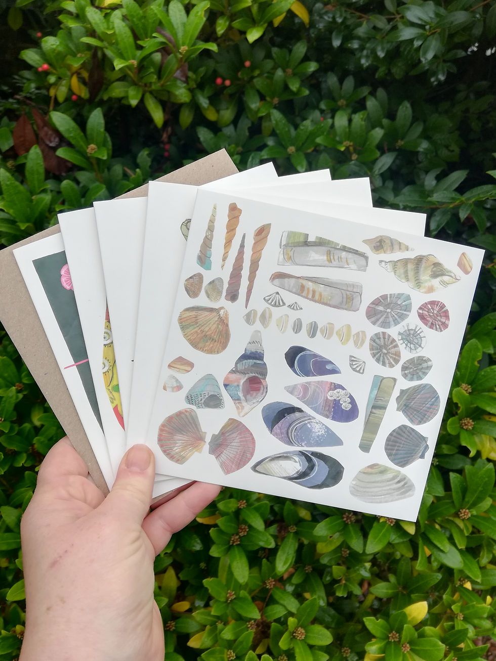 Thumbnail: Shell Collection Greetings Card