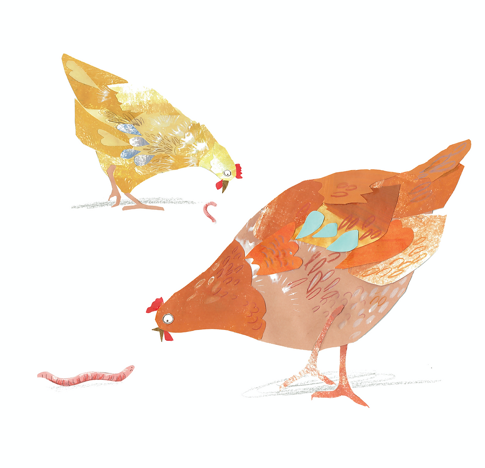 Two Hens Greetings Card katereadillustration