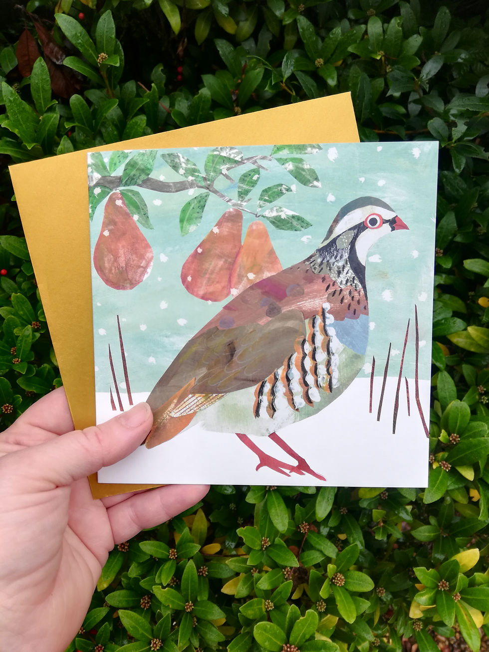 Thumbnail: Partridge in a Pear Tree Christmas Greetings Card