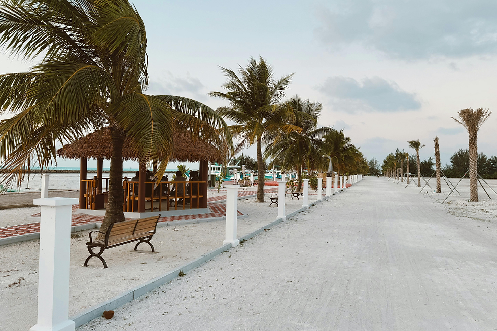 A beach with clouds and palm trees