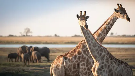 Explore Africa Your Way: A Journey as Unique as You Are