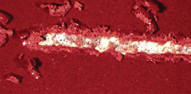 Microscratch Text Image_edited.jpg