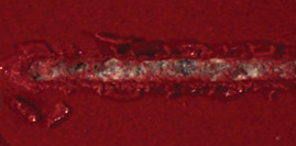 Microscratch Text Image_edited.jpg