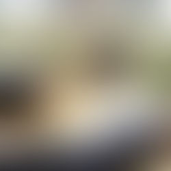 Handy business Apps that may make a significant contribution to your productivity