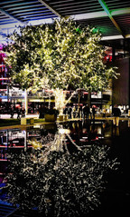 Christmas Tree - Farewell