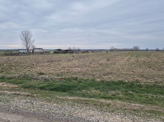 WhatsApp Image 2025-07-05 at 17.40.39