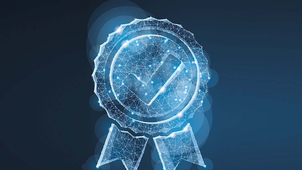 Snowbird Agility's ISO Success