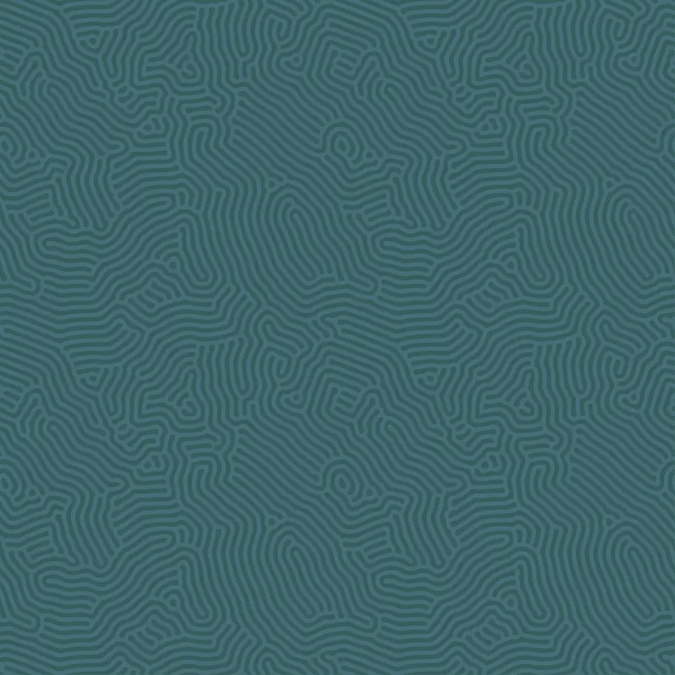 pattern1 smaller.webp