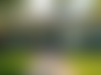 Why Routine House Washing Is a Must for Every Home