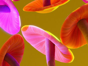 Do Psychedelics Offer a Faster Path to Emotional Healing? New Research Suggests Yes