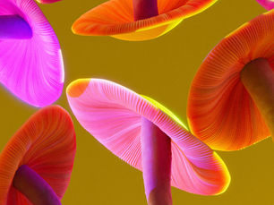 Do Psychedelics Offer a Faster Path to Emotional Healing? New Research Suggests Yes