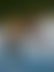 girl laying on the grass imge