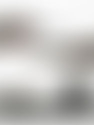 Two hands gracefully pouring water during a traditional tea ceremony, capturing the mindfulness and balance at the heart of creative ritual