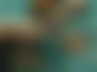 singing bowls in water