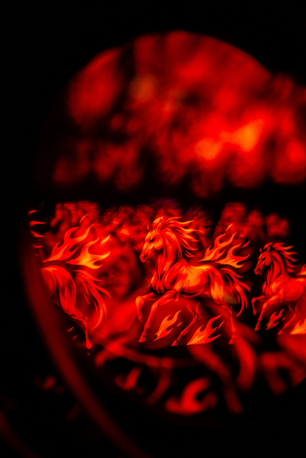 Fire Horse 2026 Action Plan: 12 Power Moves to Ignite Your Dreams During the Aquarius Eclipse