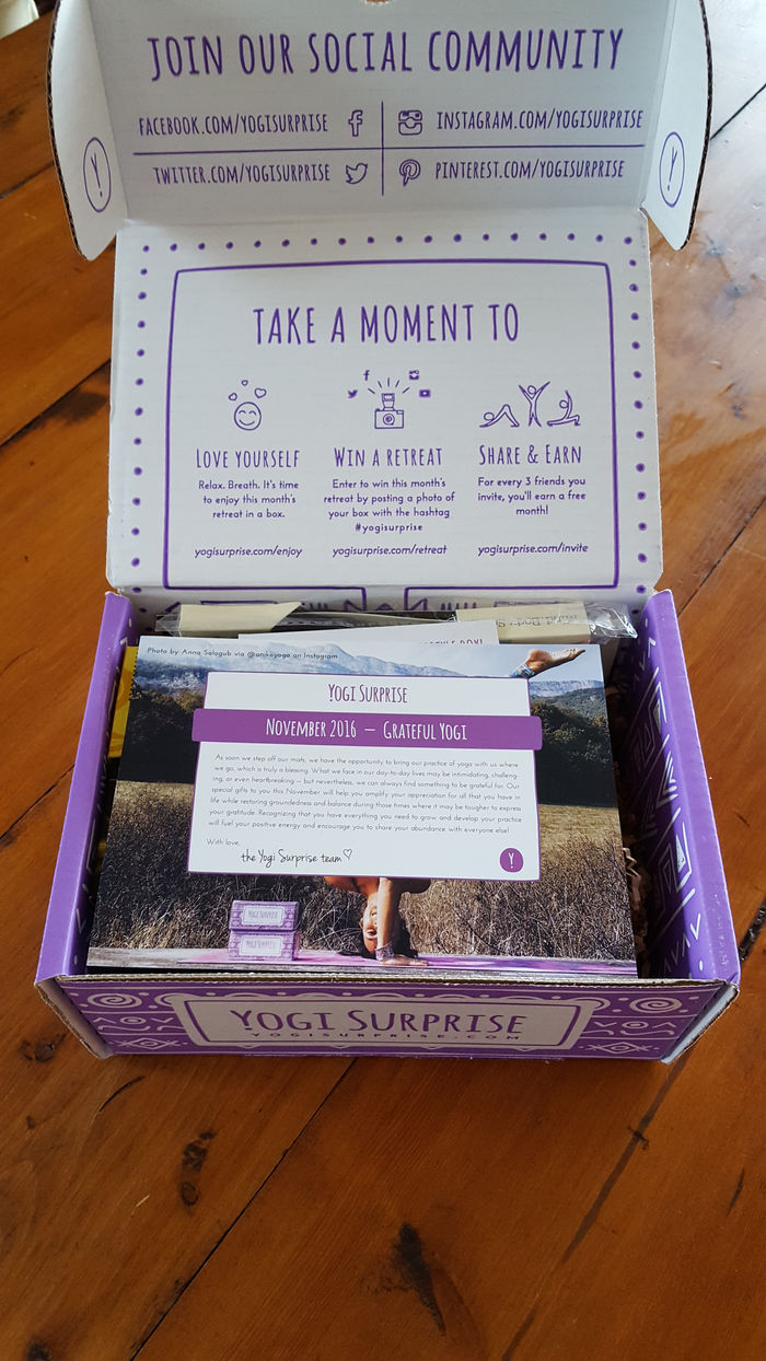 YOGI SUPRISE - NOVEMBER BOX