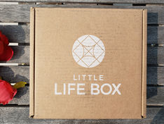 LITTLE LIFE BOX - August 2018