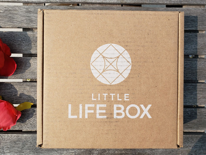 LITTLE LIFE BOX - August 2018