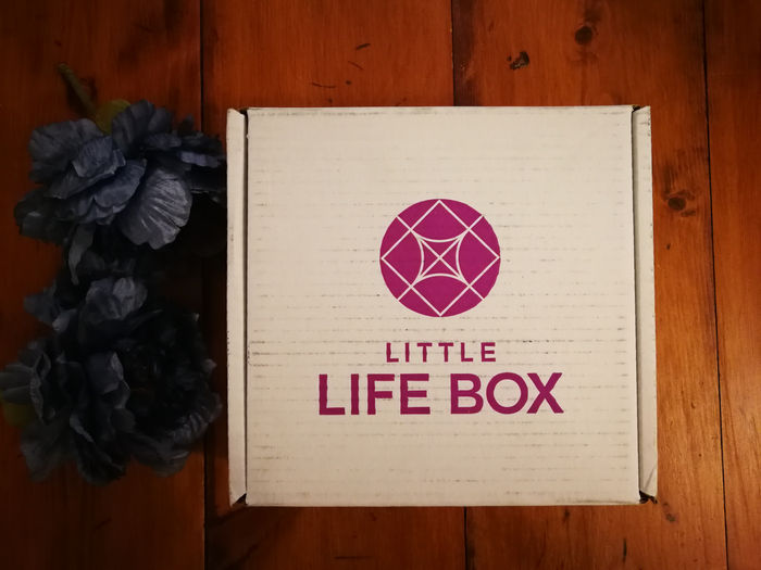 LITTLE LIFE BOX - November 2017