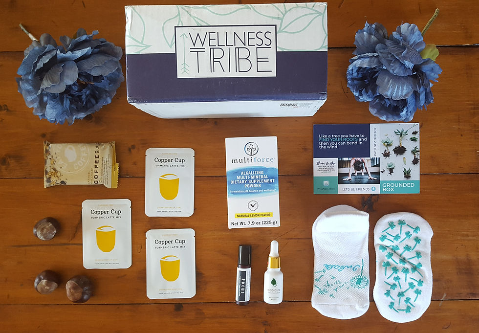 wellness tribe
