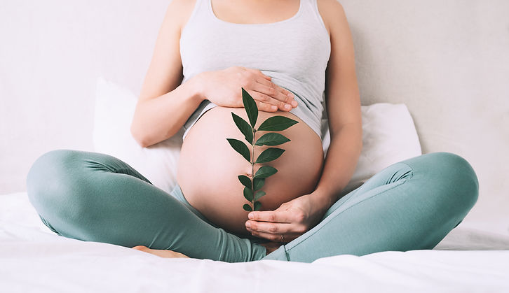 Pregnant woman holds green sprout plant near her belly as symbol of new life, wellbeing, f